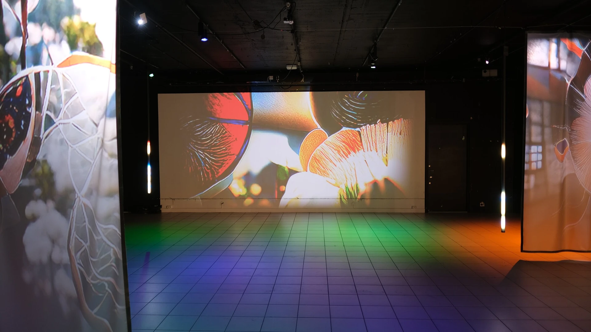 The empty room: the wide wall projection of red and orange blossoms between two hanging scrims, coloured light spread across the tiled floor.