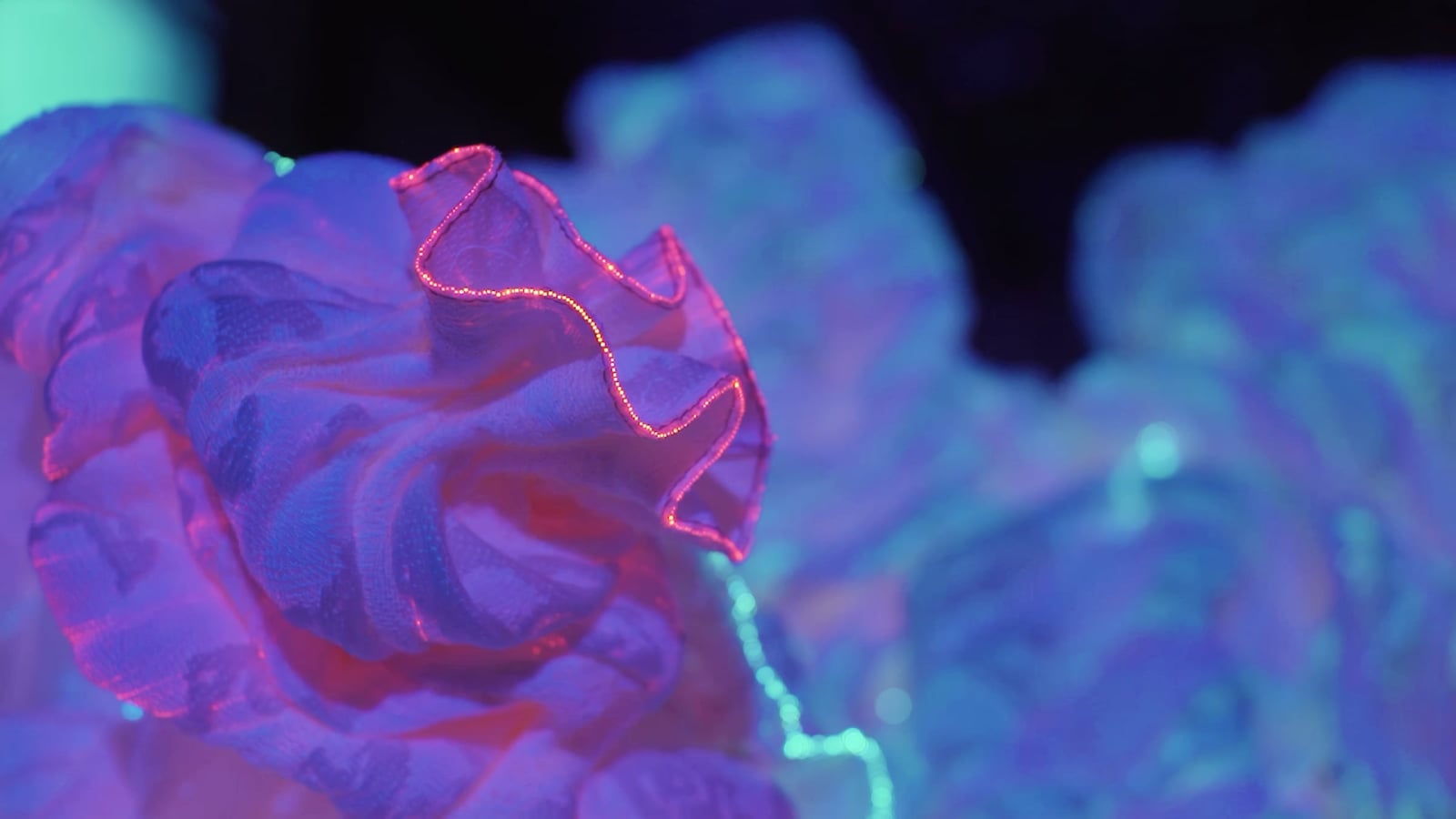 Translucent textile forms glow blue and pink, with a bright red line tracing their folds.