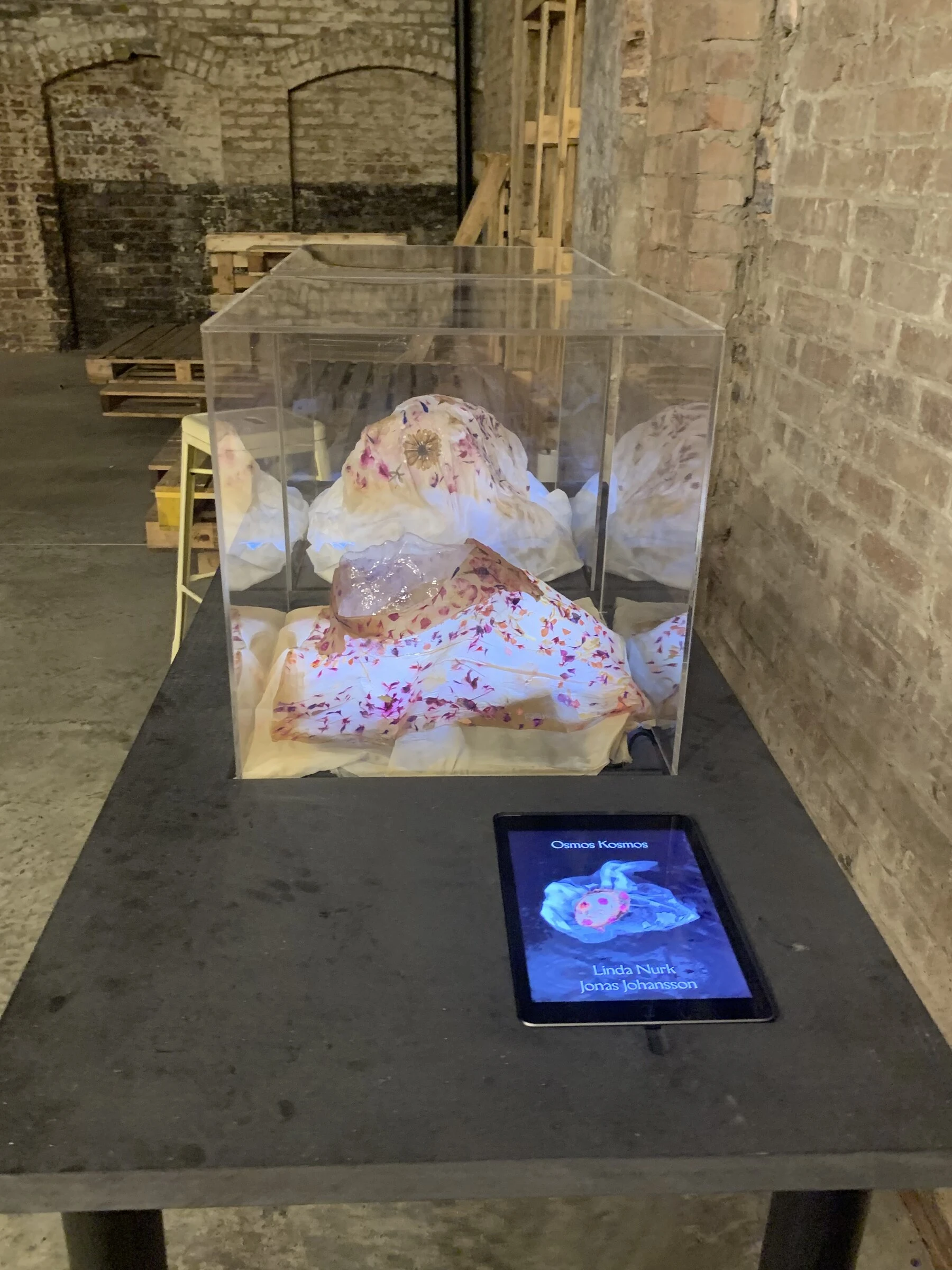 Grown textile pieces in a clear vitrine, with a tablet beside them showing the Osmos Kosmos film.