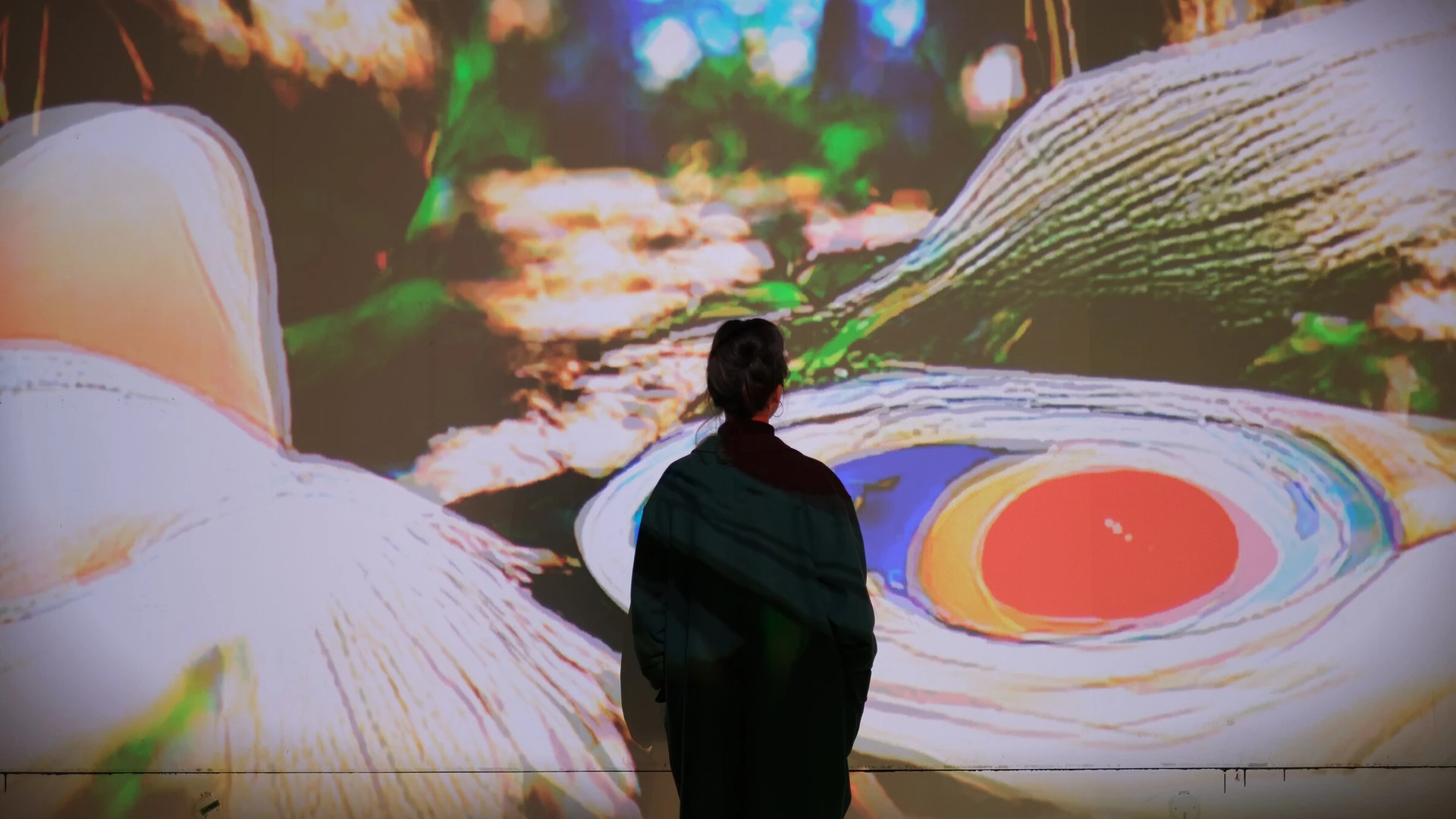A visitor in silhouette stands close to the projection, facing a huge white blossom with a red and blue centre.