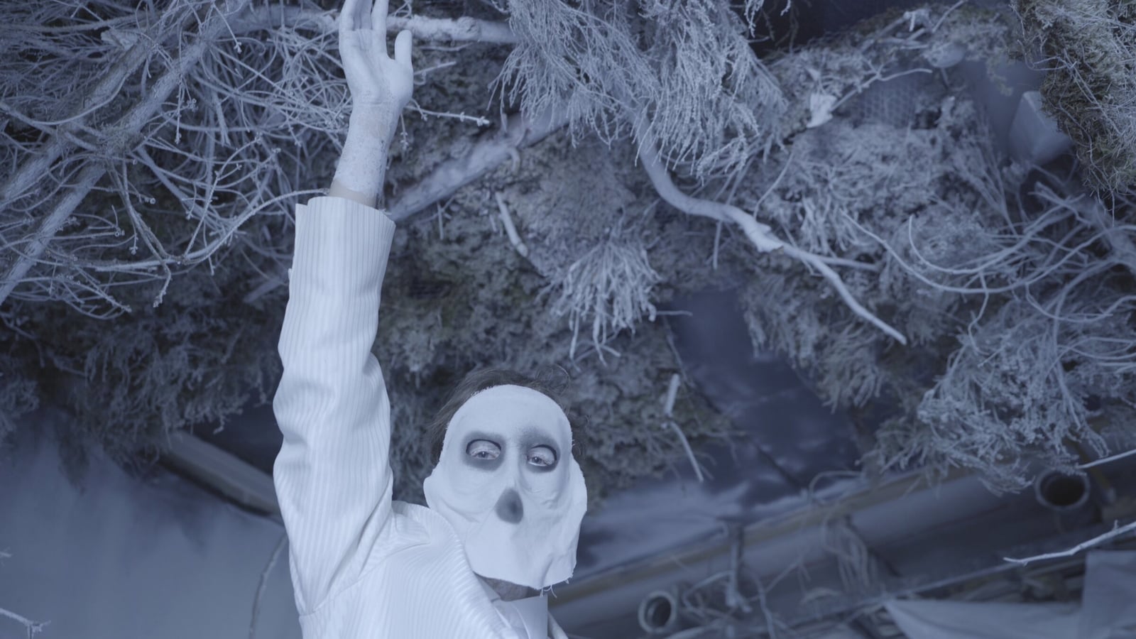 Seen from above, a figure in a white mask and suit reaches up into a tangle of pale, dry branches.