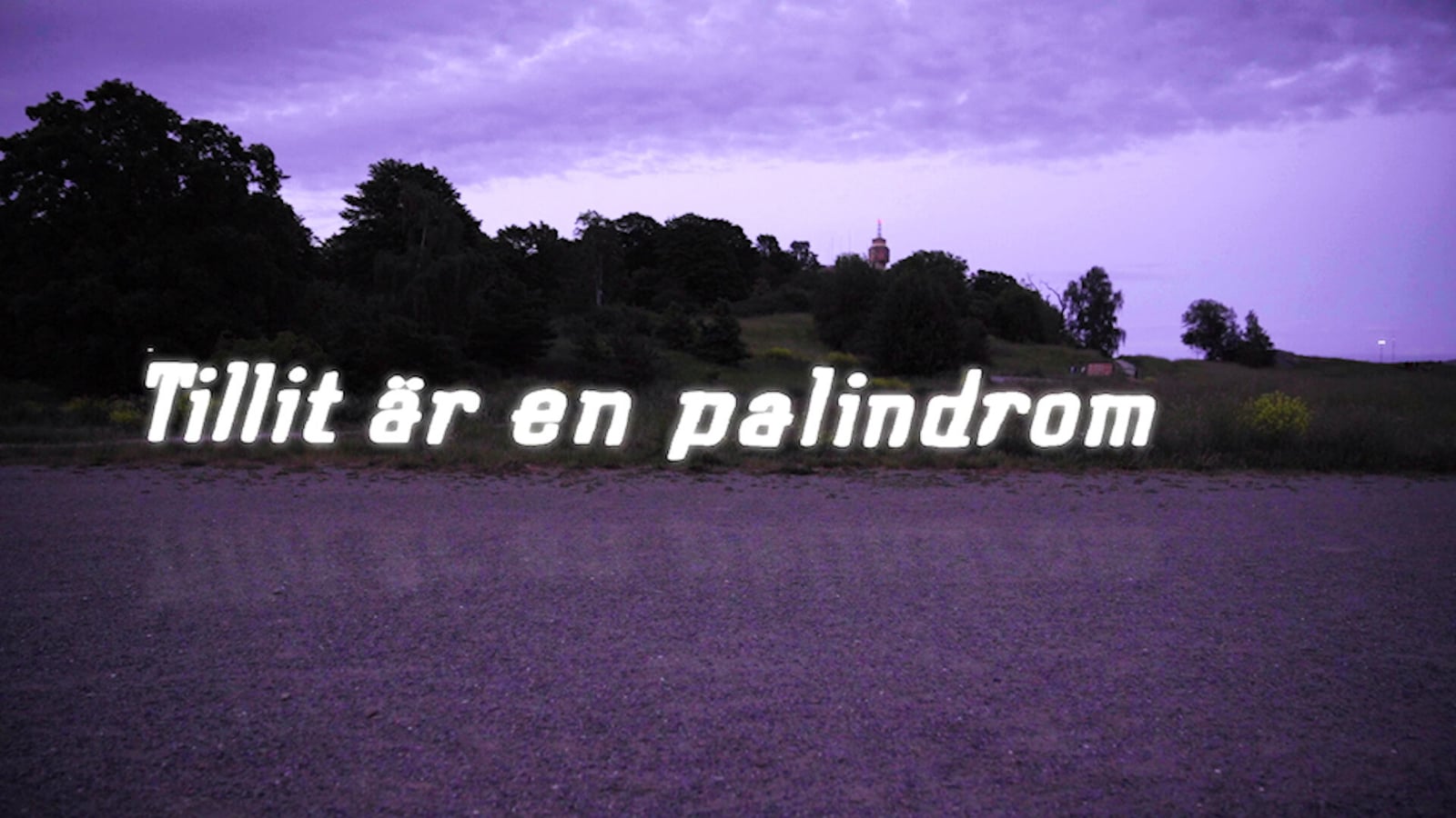 The words Tillit är en palindrom hang in bright handwritten light above open ground under a violet dusk sky.