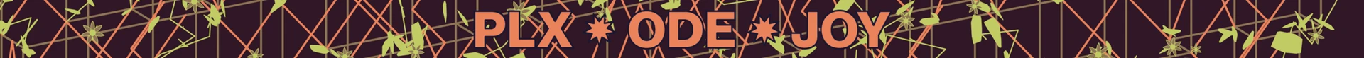 The ODE JOY Friday wristband: the same lattice and flowers in lime and orange on oxblood, with PLX ODE JOY in orange.
