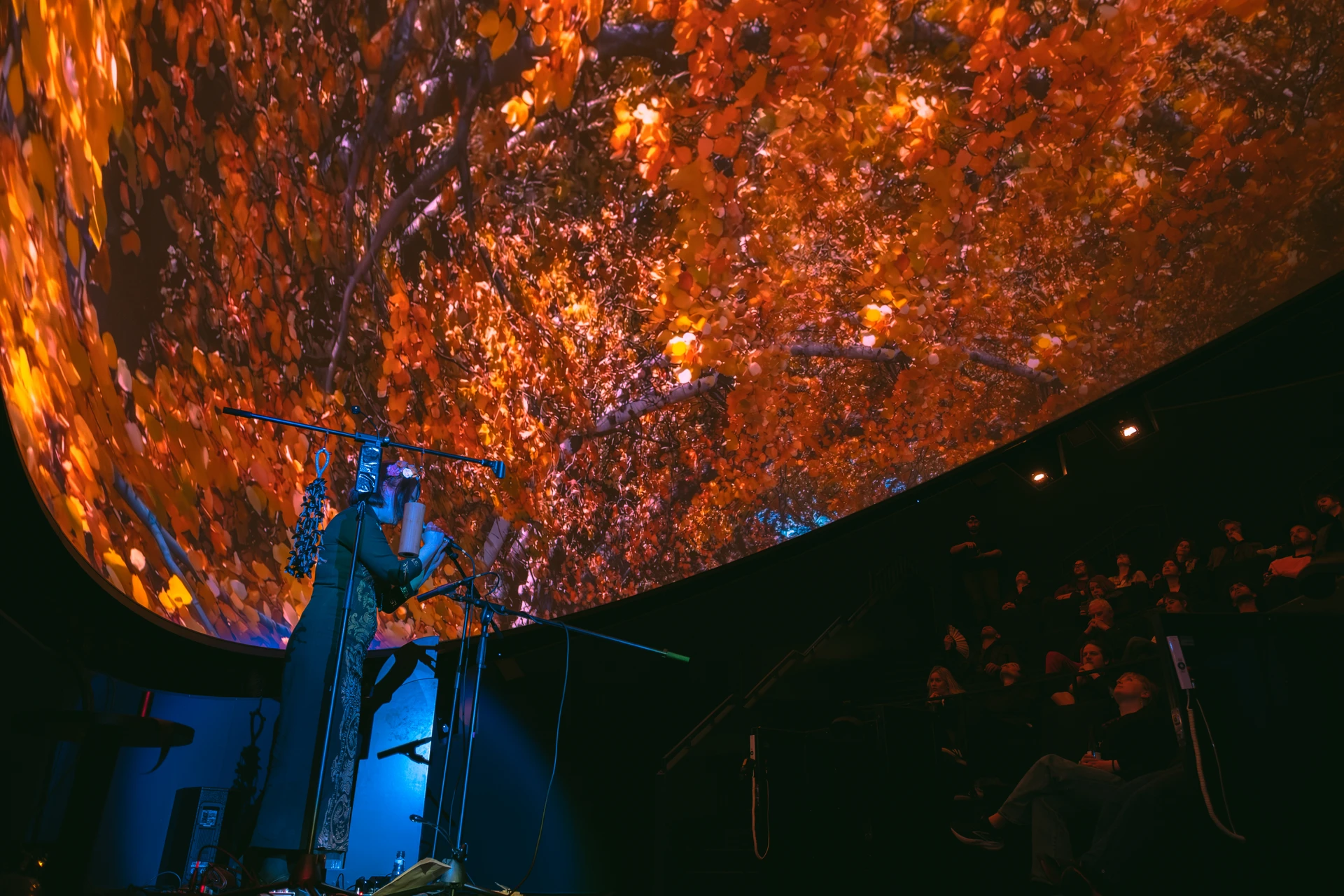 Dome Dreaming