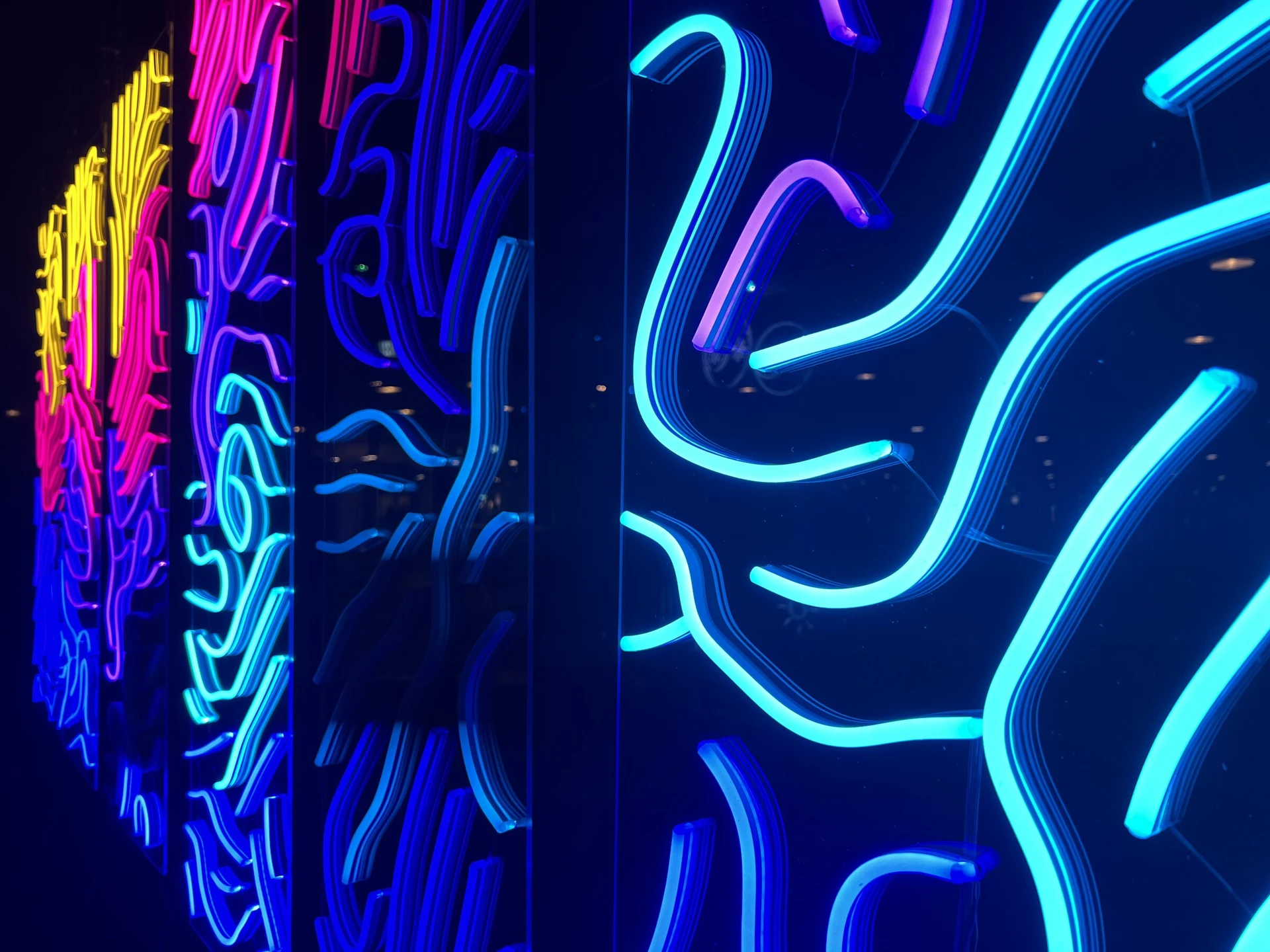 Close view of the signs: glowing cyan, pink and yellow lines curving like coral.