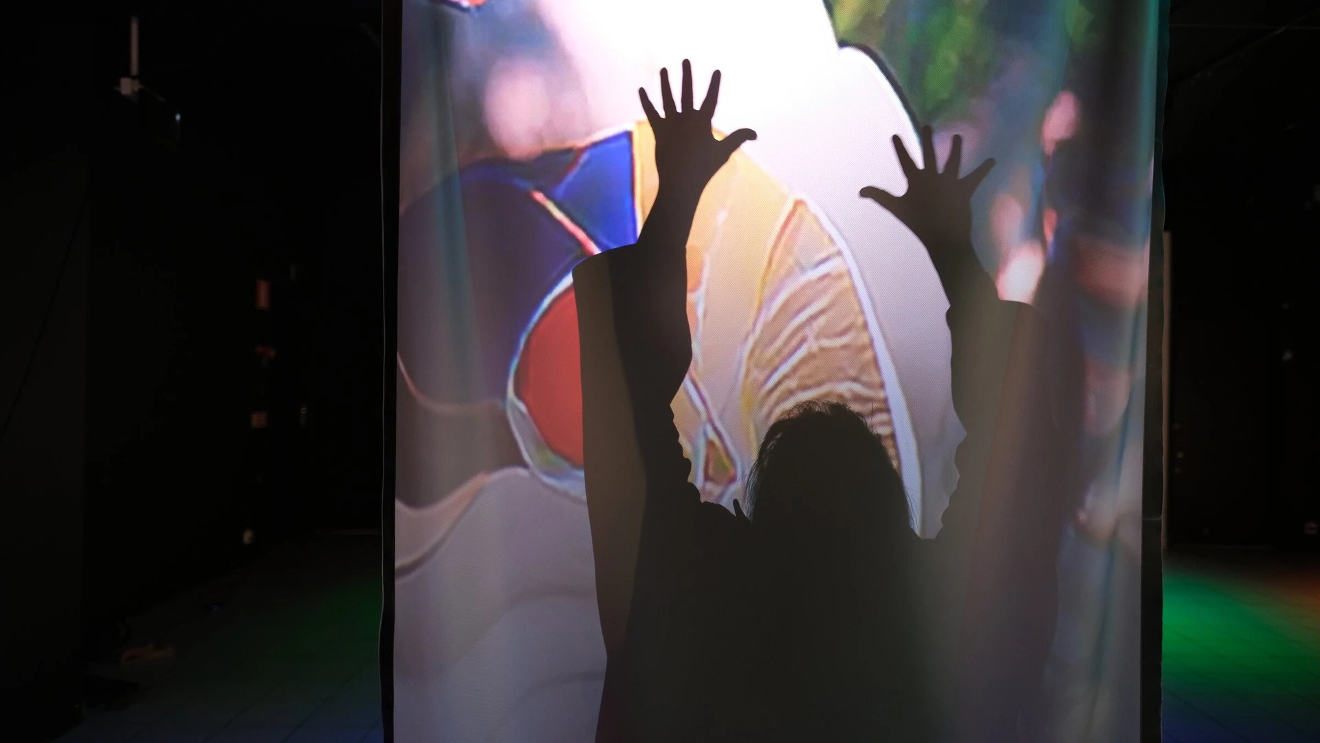 Behind a translucent scrim, a visitor's shadow reaches both hands up into a projected flower.