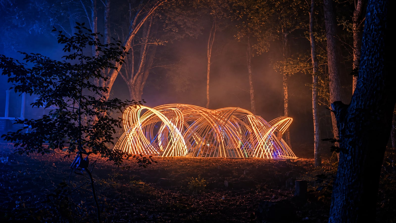 Kagora glows warm gold between dark tree trunks, with mist drifting through the woodland and blue light in the foreground.