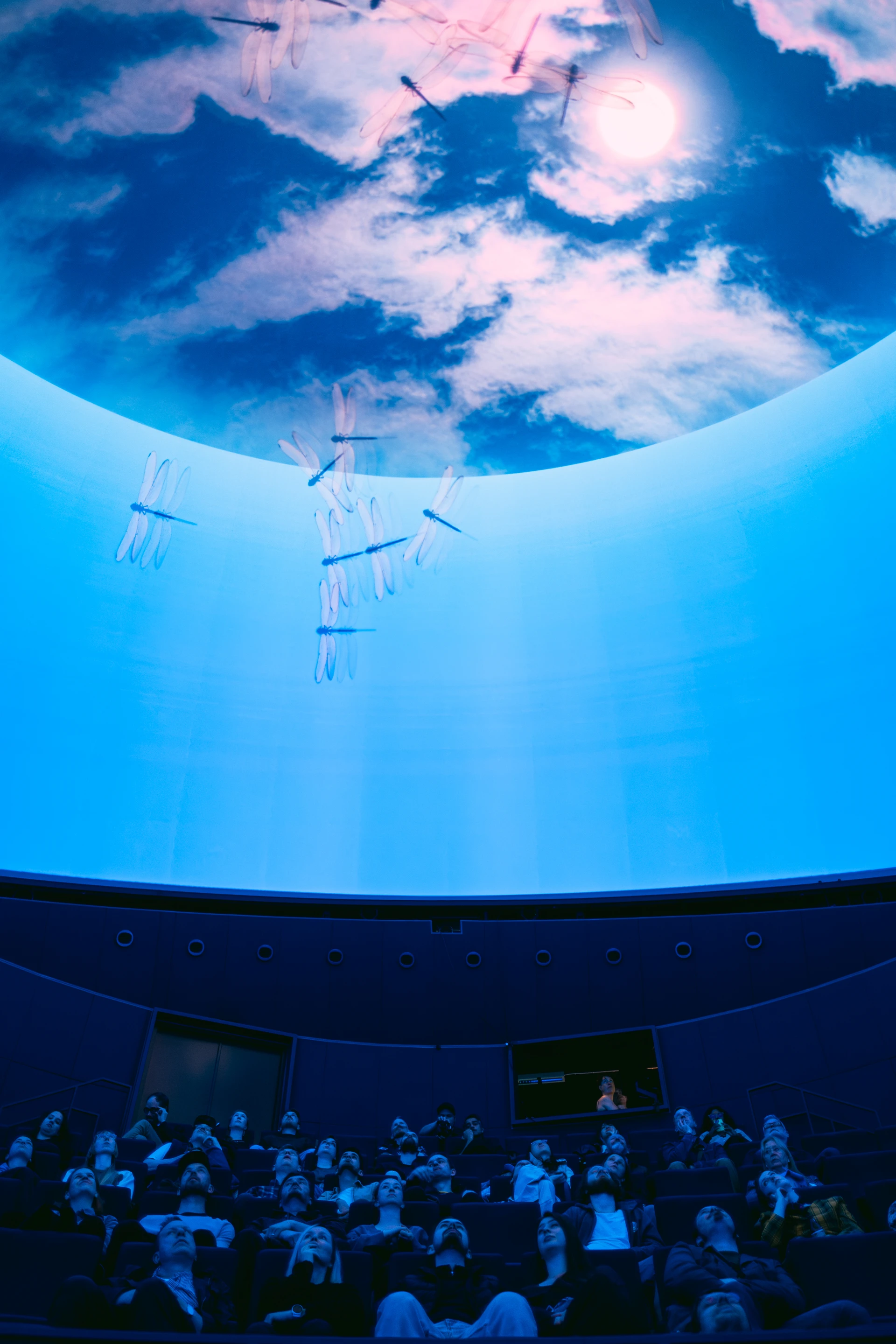 Dome Dreaming