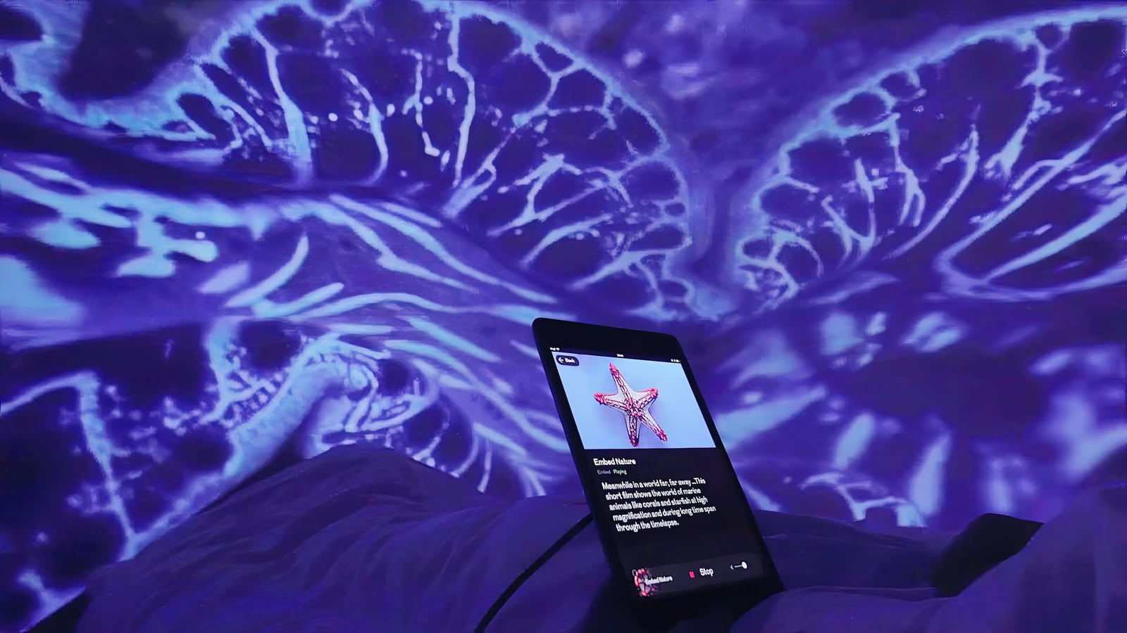 A bedside tablet controls blue and violet projections that wrap around the walls of a hotel room.