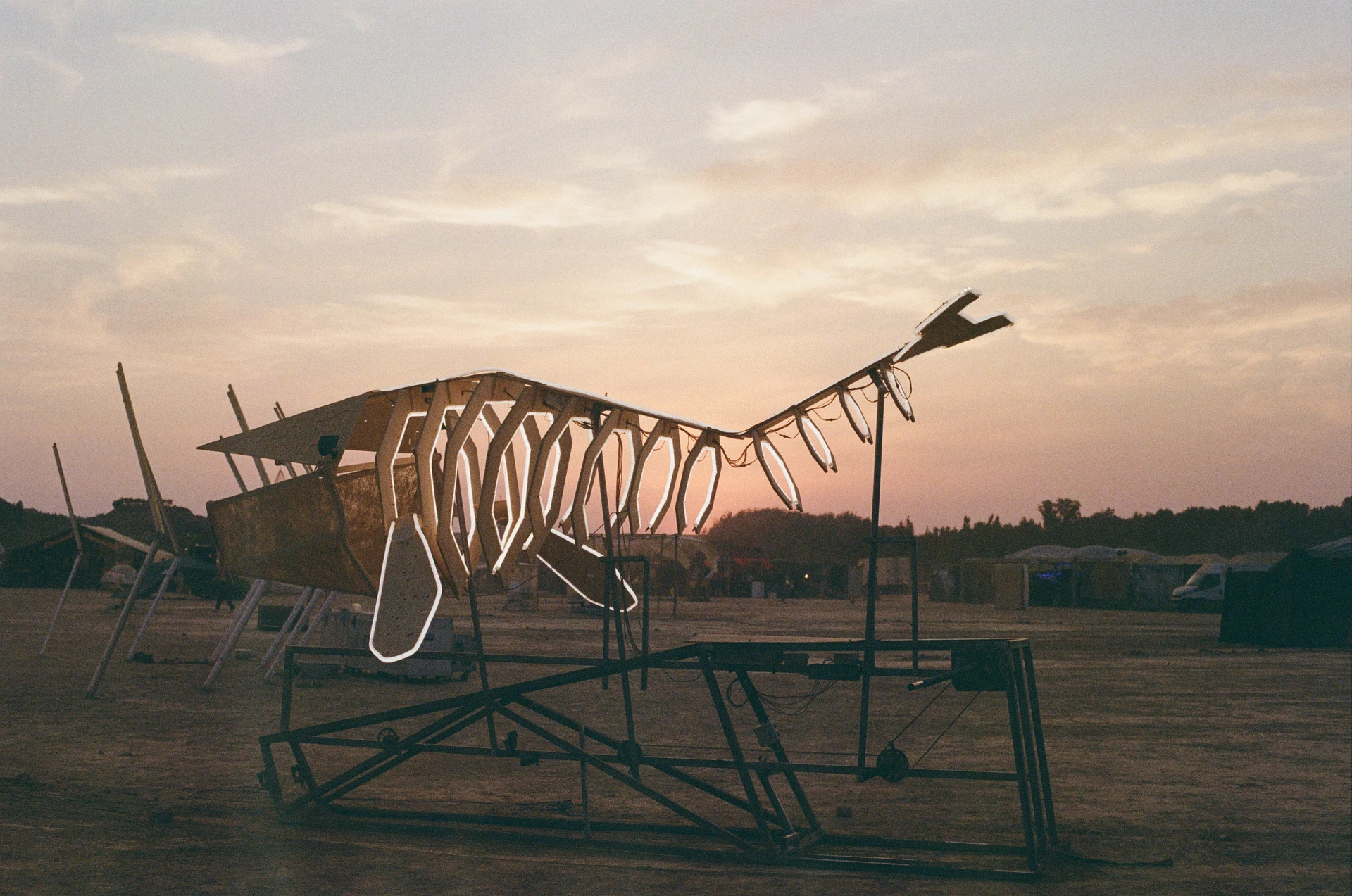 A film photograph of the assembled whale in the desert at sunset, its pale ribs and fins outlined with light.