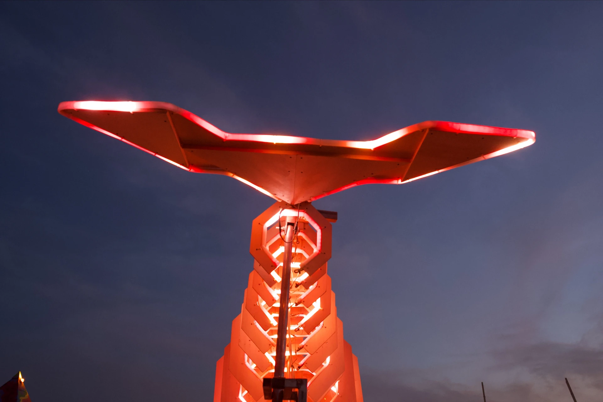 A close view from below of the whale's broad tail and narrowing ribs, edged in red and white light.