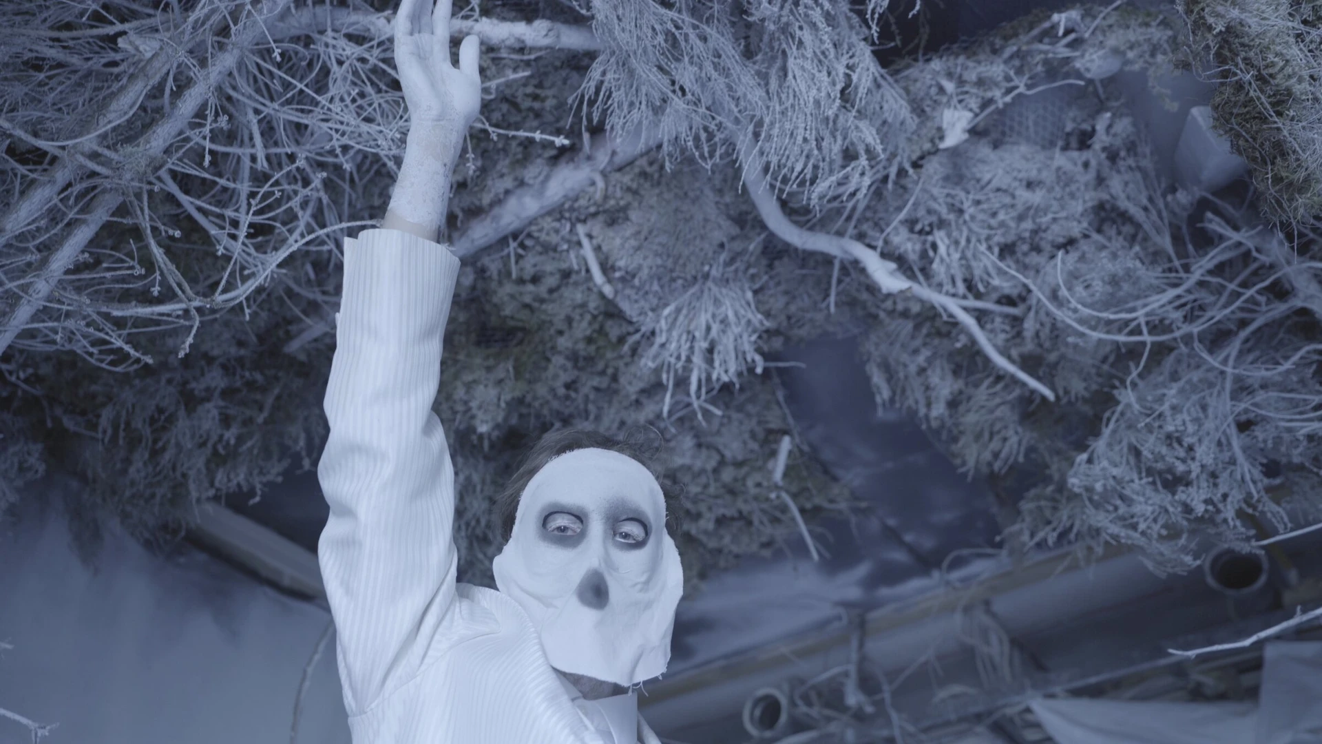 Seen from above, a figure in a white mask and suit reaches up into a tangle of pale, dry branches.