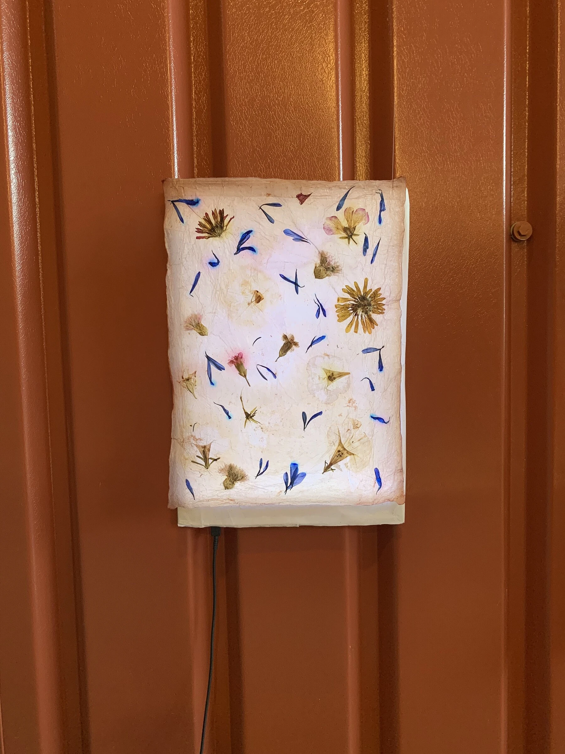 A sheet of grown textile with pressed blue petals and dried flowers, backlit against the container wall.