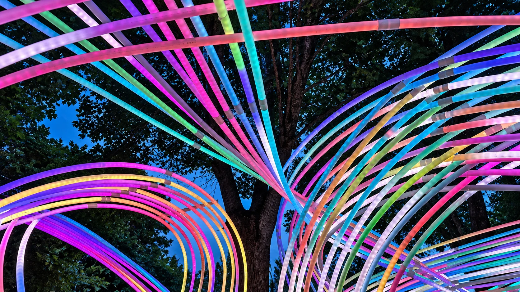 Looking up through Kagora, multicoloured ribs weave around a tree trunk against the deep blue evening sky.